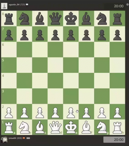 a computer showing a chess board with different pieces on it