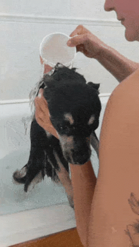 a man is washing his dog in the tub