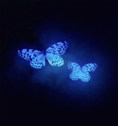 three erfly shapes are shown lit up by light
