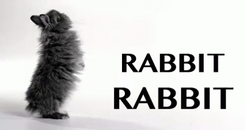 the rabblet rabbit is sticking its head down on the white floor