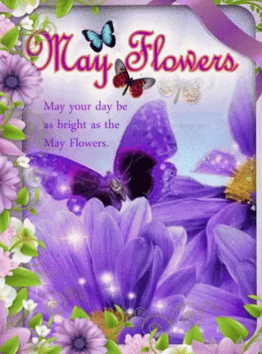 greeting card featuring pink flowers and erflies