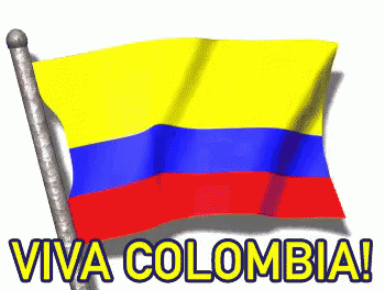 the flag of colombia and the word viva colombia