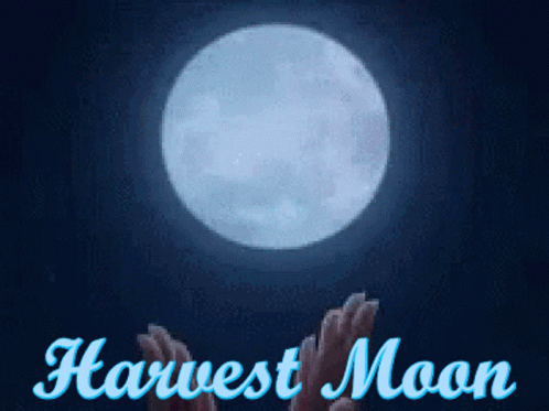 the harvest moon festival, where the event is held on may 20