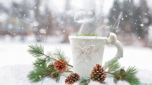 a frosty mug filled with water sitting next to pine cones