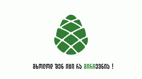 the logo of a green pine with spanish words