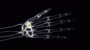 a skeleton hand is shown with glowing bones