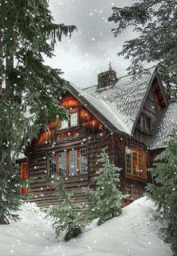 snow covered cabin sits in the woods beside pine trees