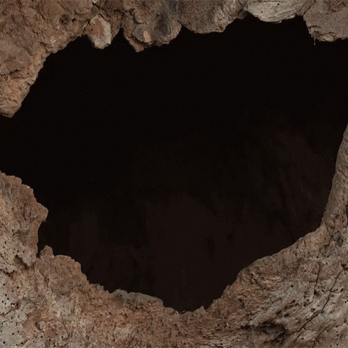 an image of a black hole in a rock wall