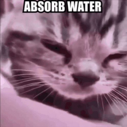 a purple picture with a cat saying about water