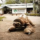 a stuffed animal is lying on the ground in front of a building