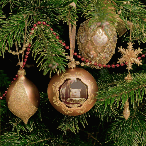 three glass ornaments hanging from the side of a christmas tree