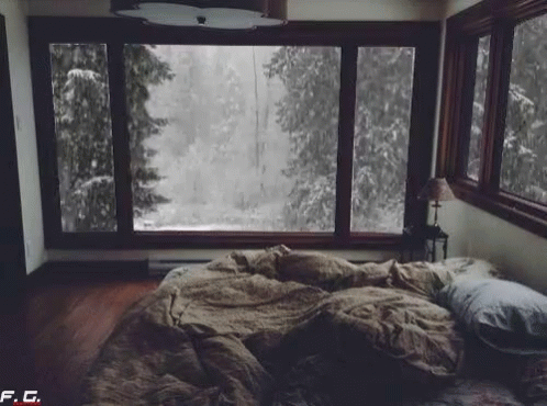 an empty bedroom with a huge window overlooking the forest