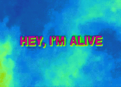 a po with a message on it that says hey, i'm alive