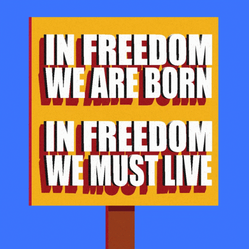 an illustration with a blue box that reads in freedom we are born