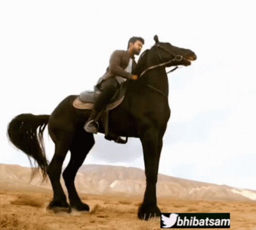 a man in a saddle is riding a horse