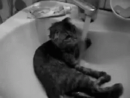 a cat that is laying down in a sink