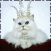 a white cat wearing a crown in front of a black and white frame