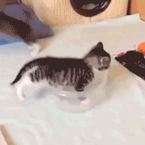 a cat walking across a bed with its paws near the pillows