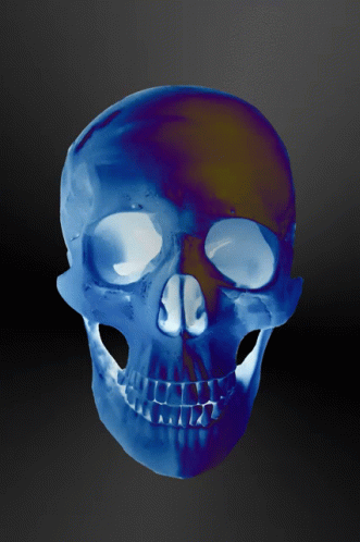 this skull is an extremely detailed 3d model
