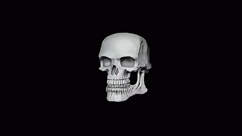 a black background shows a skull with two eyes
