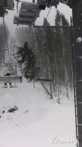 a ski lift with trees on top is in the snow