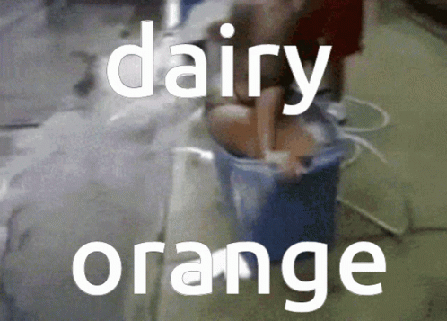 an orange with the words dairy and oranges written in white