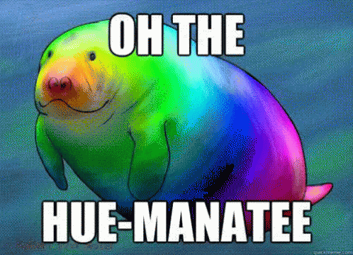 a rainbow manato with the text oh the hue - manate