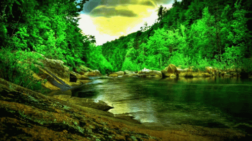 an altered po of a river in a green forest