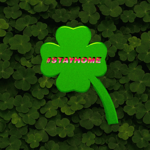 four leaf clover sitting in front of green background with text