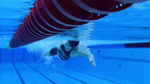 underwater pograph of a swimmer about to jump off of a diving platform
