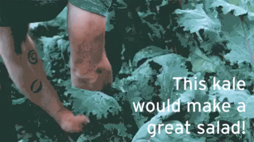 a person is digging in the ground while holding onto a plant