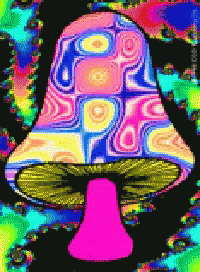 a digital image of a colorful mushroom
