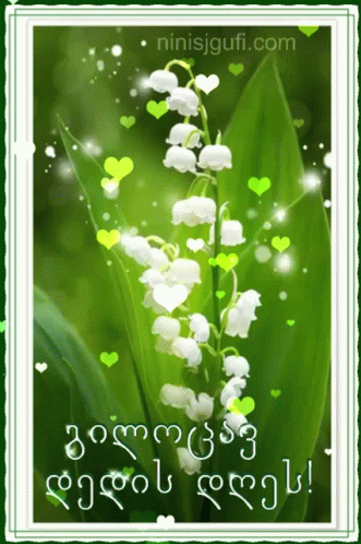 a green and white card with a flower
