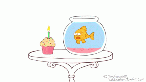 a blue fish sitting next to a cupcake