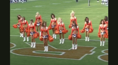 a group of cheerleaders stand at attention during a game