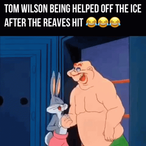 cartoon image of two rabbit characters and text describing tom wilson being helped off the ice after the raves hit