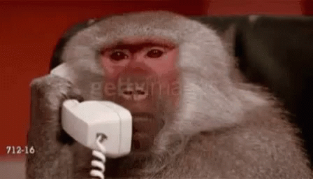 an angry gorilla holding a white cordless telephone