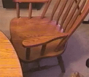 a cat sitting in the middle of two wooden chairs