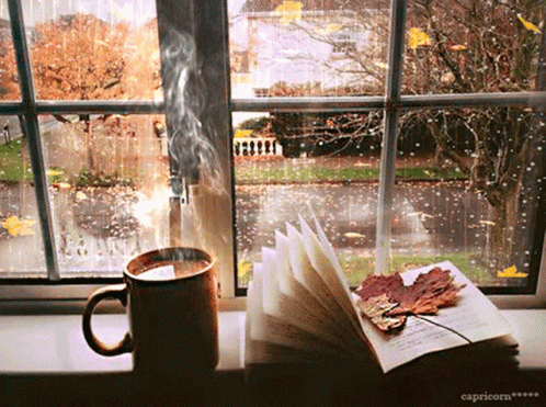 coffee mug, book and book on window sill in rainy weather
