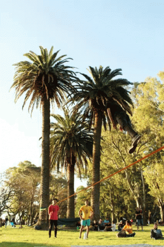 a man flying a kite in the sky between two palm trees