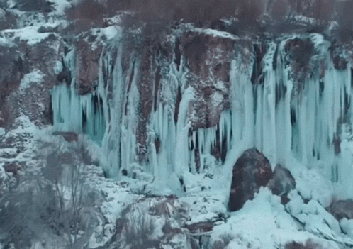 ice covered water waterfall with large rocks and plants