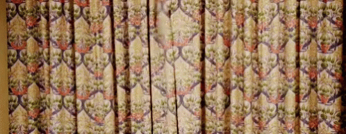 two blue curtains, one with the pattern and one with the background