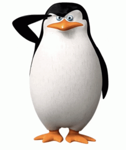 a small penguin with a funny look on its face