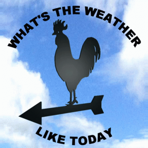 a bird on a sticker that says whats the weather like today