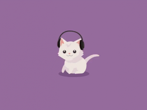 a cat with a headphone listening to music