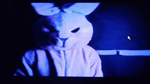 an image of a bunny in the dark
