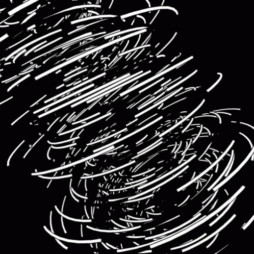 an abstract, black and white po of spiral lines