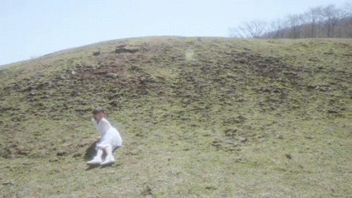 a dog is running up a green hill