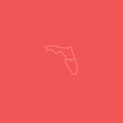 the outline of the state of florida against a purple background