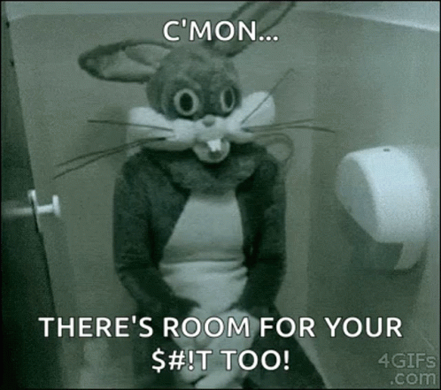 a rabbit toilet seat in the bathroom with caption